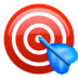 🎯