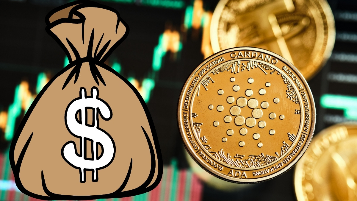 Altcoin-Season-5.jpg